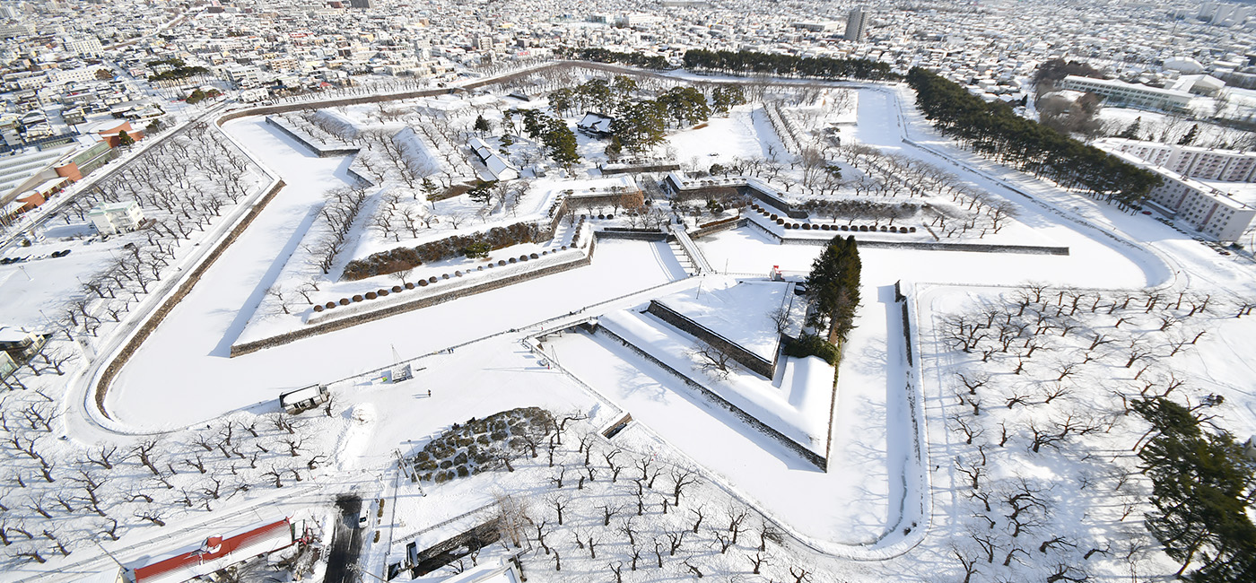 展望台から見た、雪の特別史跡「五稜郭」